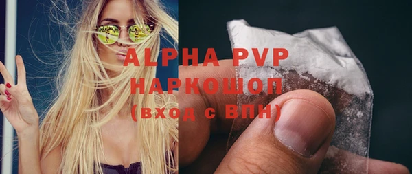 ешки Белокуриха