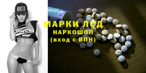 гидропоника Бородино