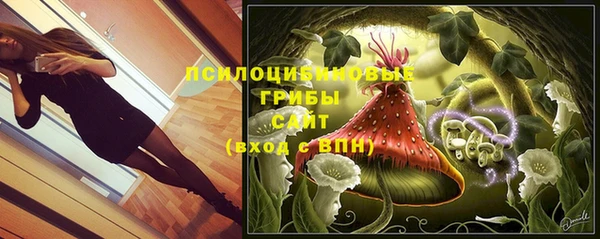 ГАЛЛЮЦИНОГЕННЫЕ ГРИБЫ Бронницы