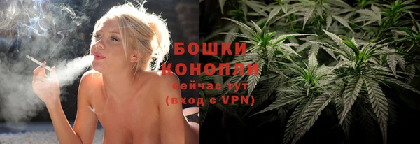 гидропоника Бородино