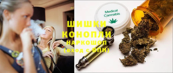 гидропоника Бородино