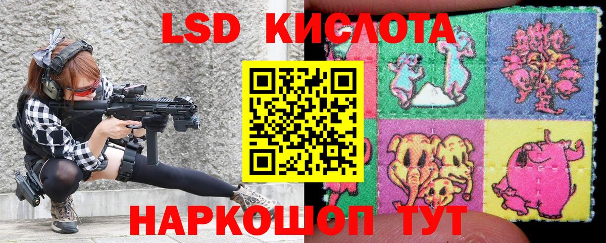 APVP Гудермес