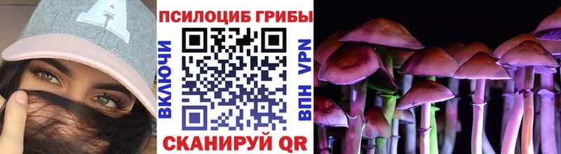 Псилоцибиновые грибы Psilocybe  Гудермес 