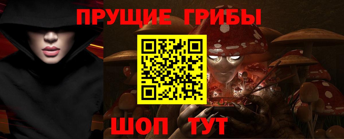 Гудермес  Галлюциногенные грибы Cubensis  Вход с VPN 